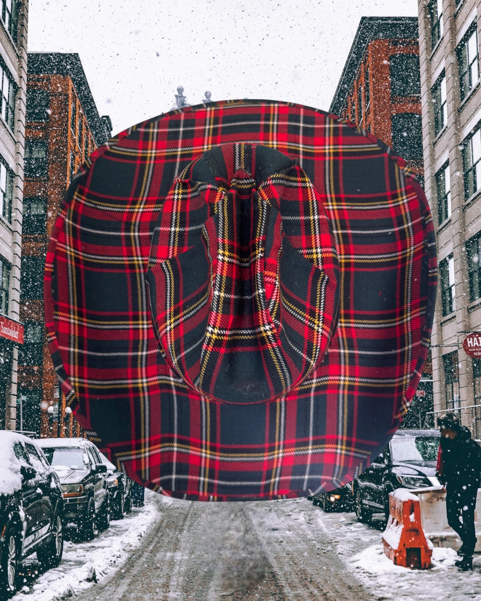 Highland Forest - Zandria