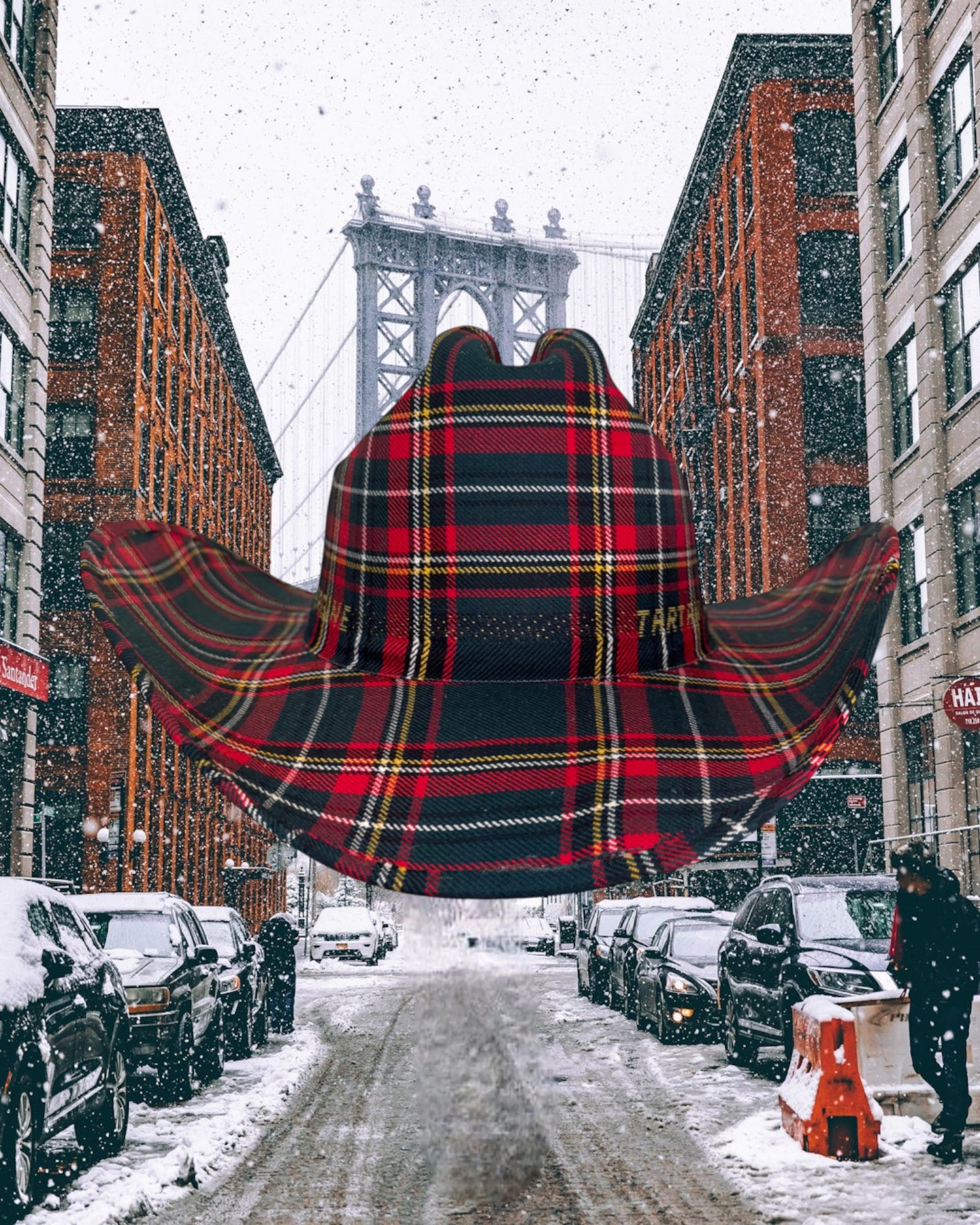 Highland Forest - Zandria