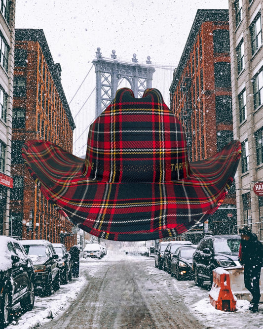 Highland Forest - Zandria