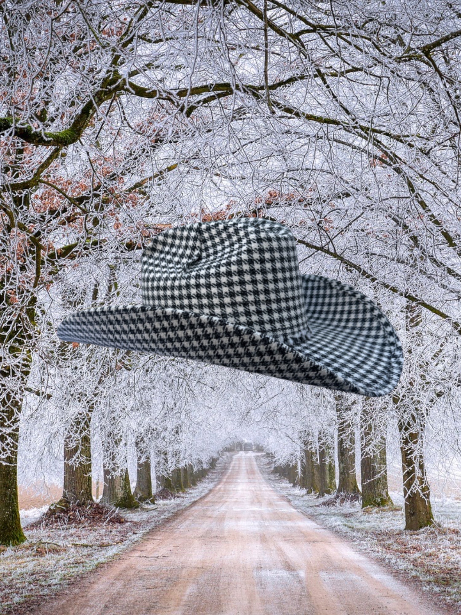 Holiday Hound - Zandria