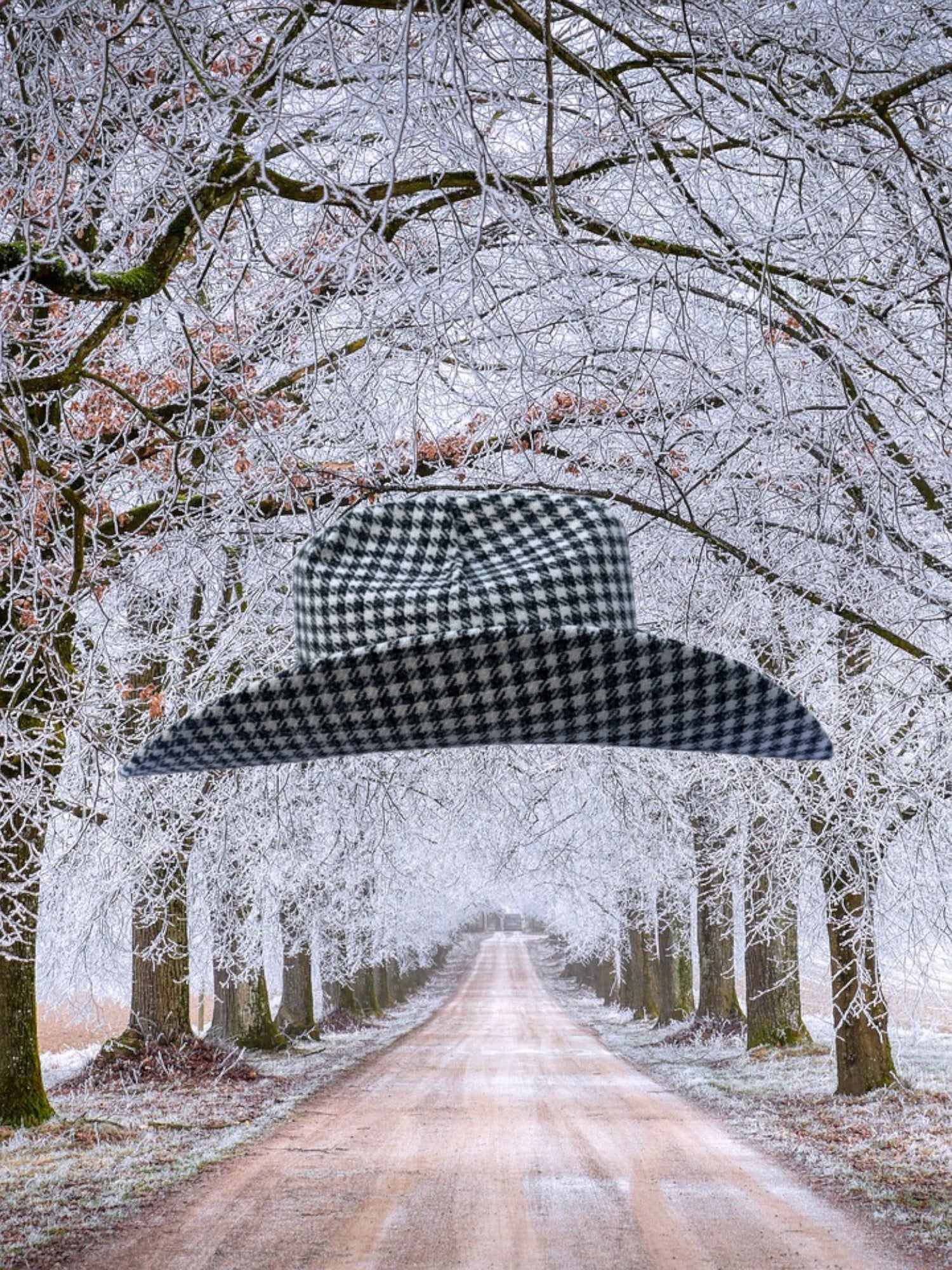 Holiday Hound - Zandria