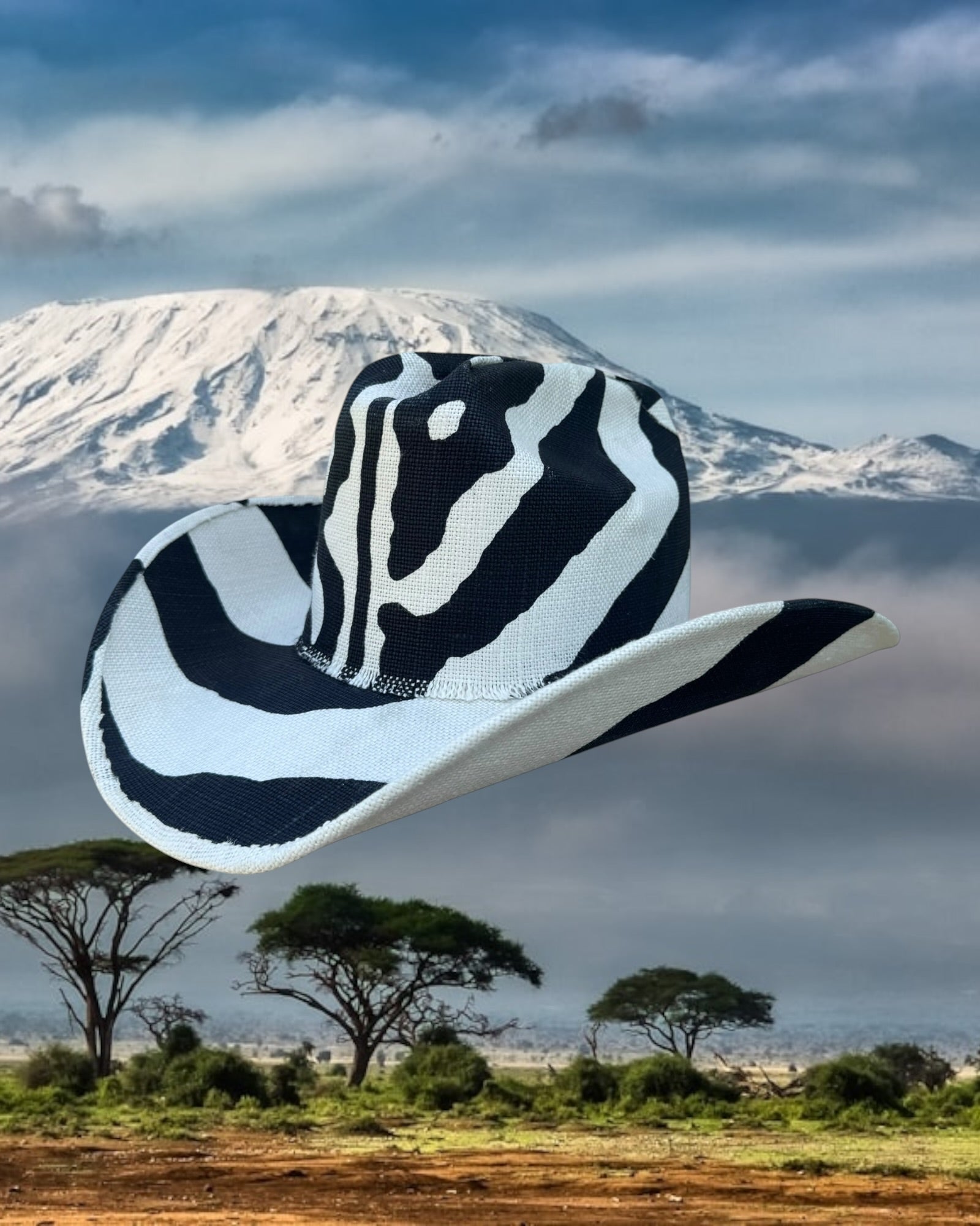 Zebra Line