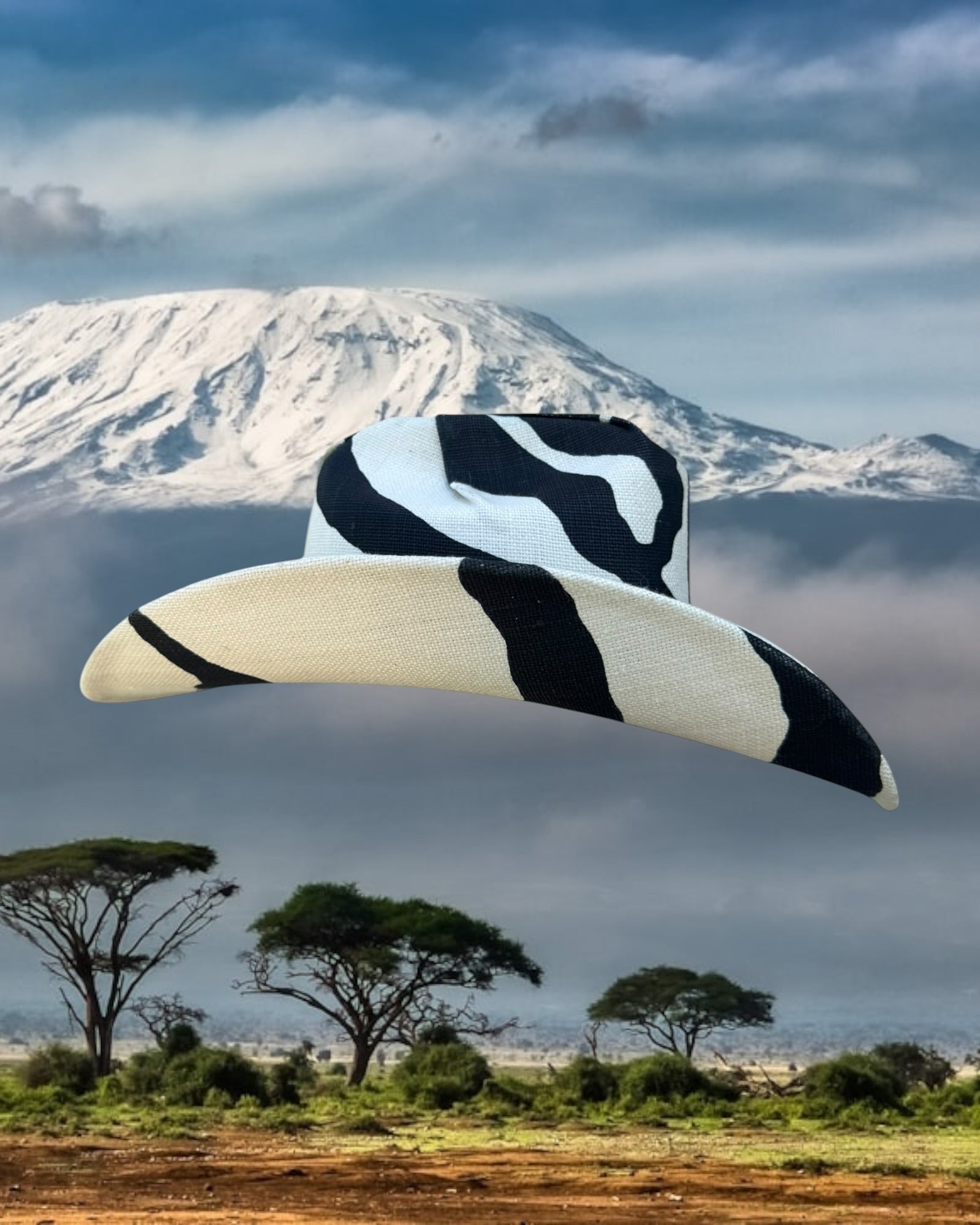 Zebra Line