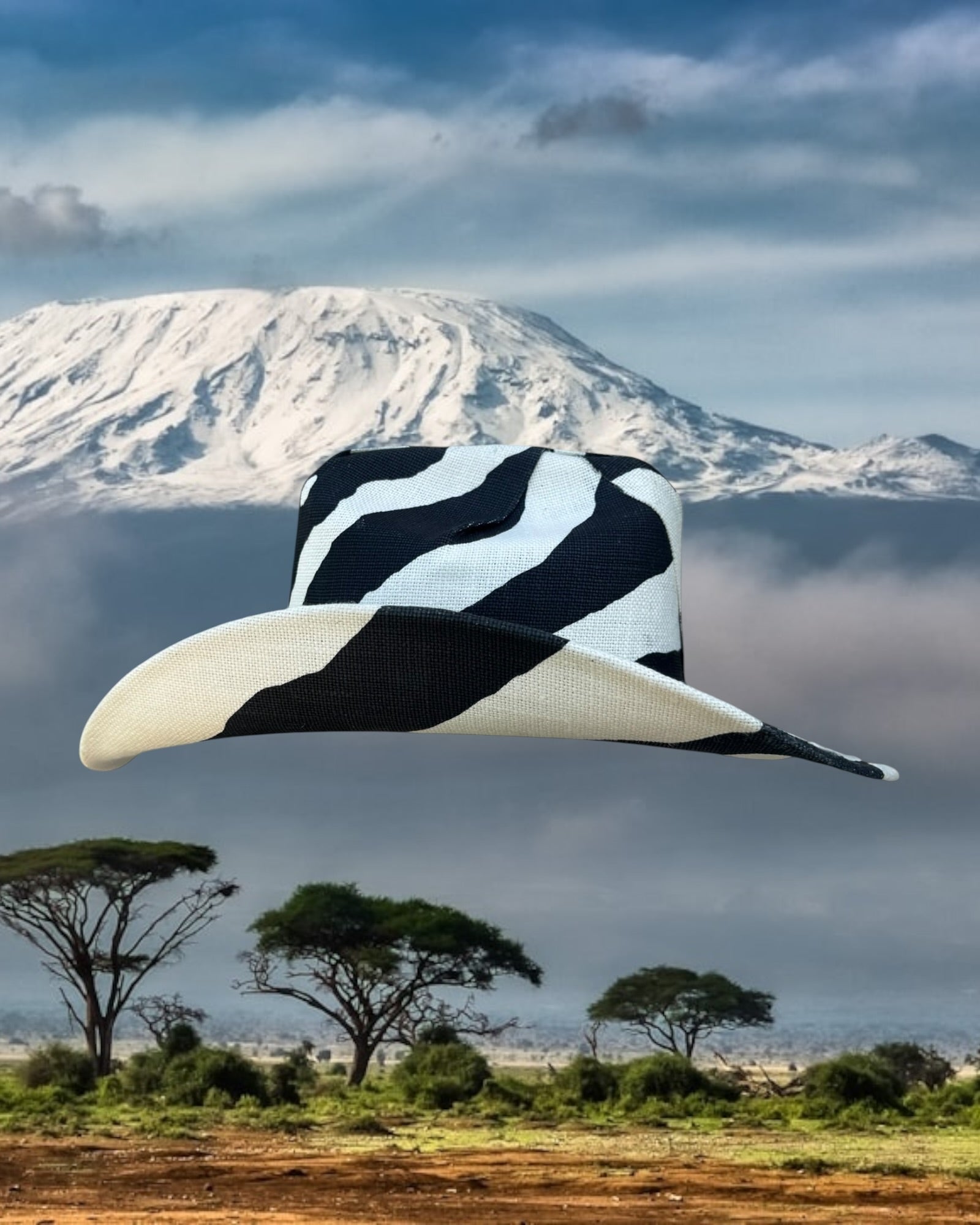 Zebra Line