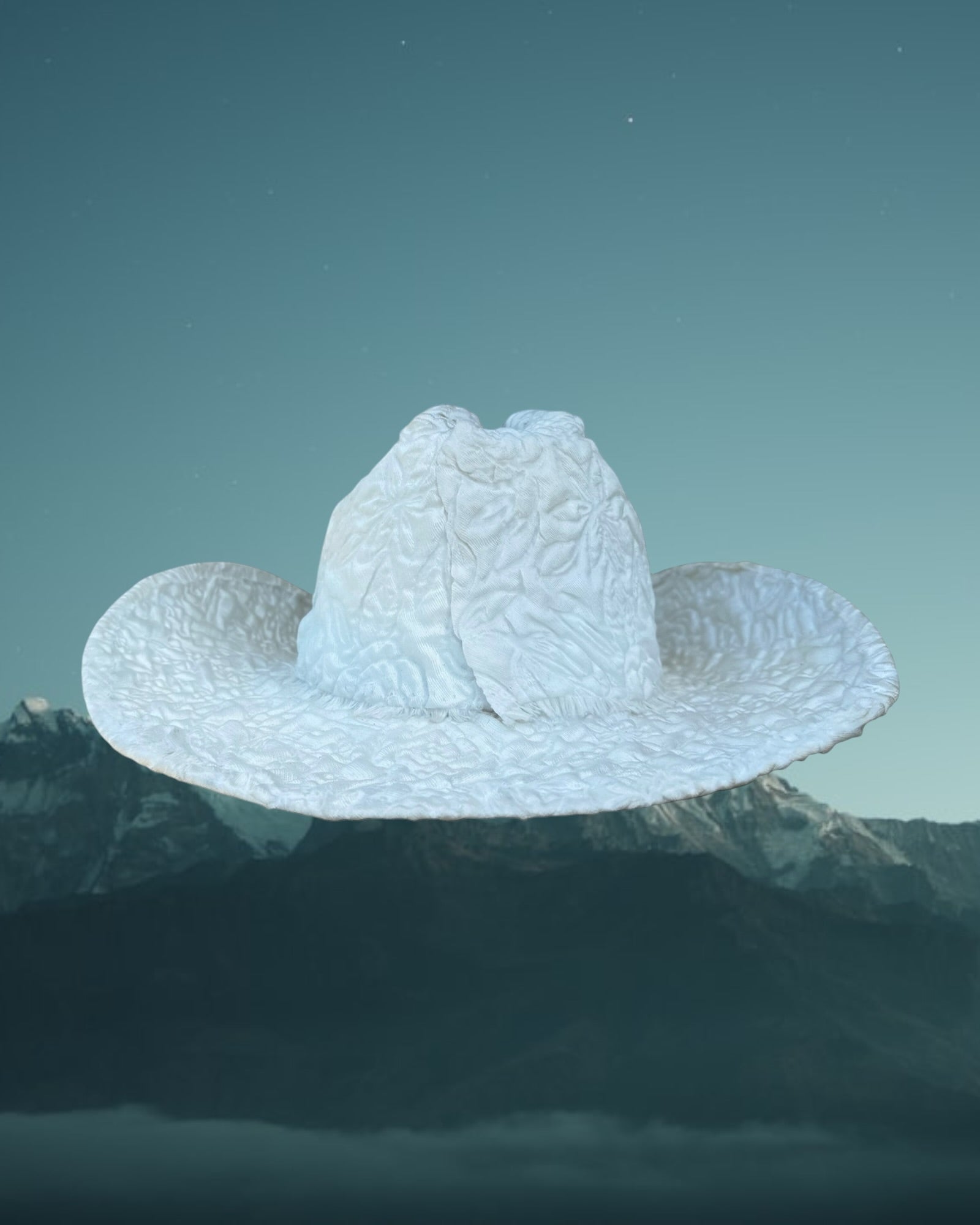 Maison Blanc