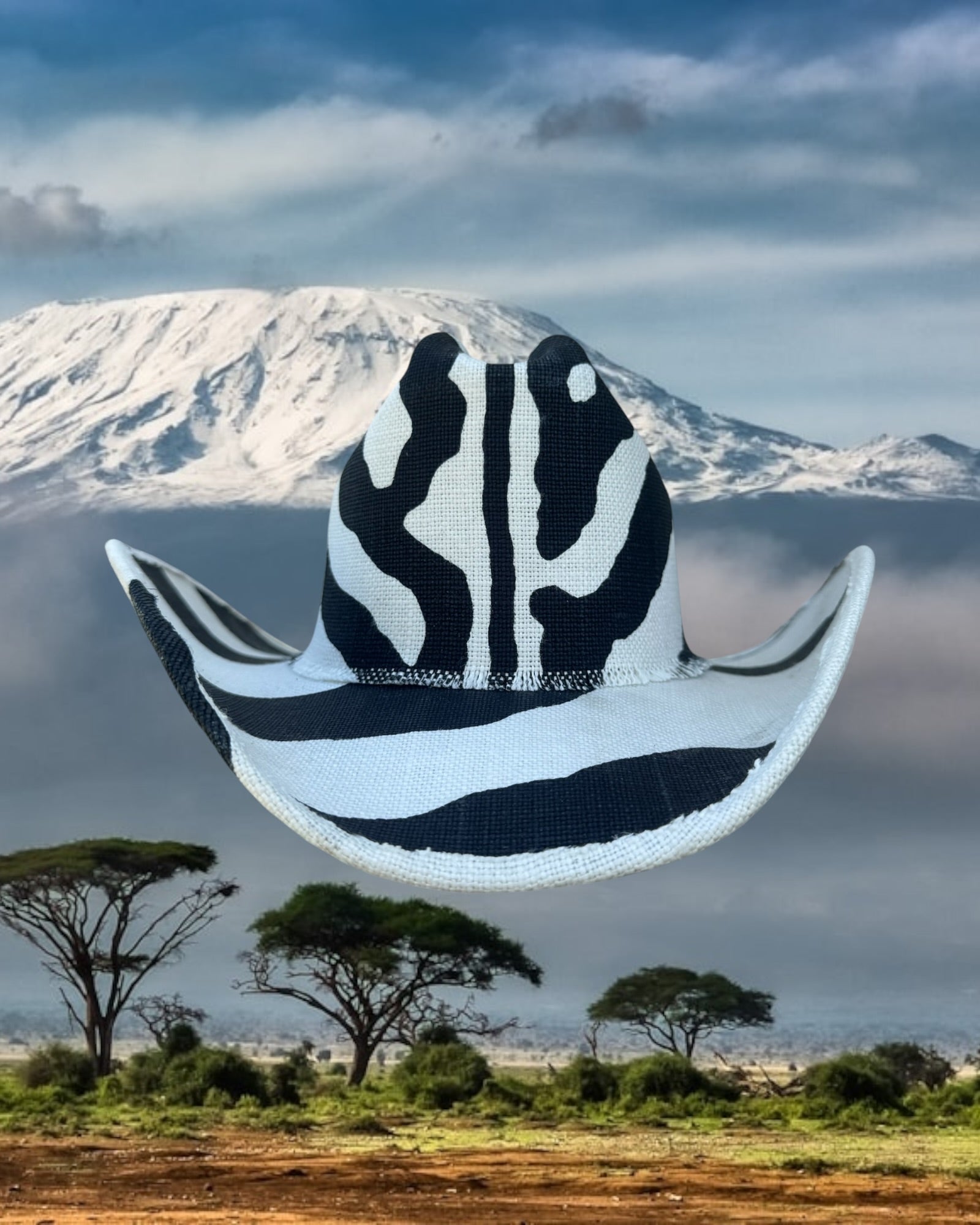帽子 ZEBRA Zebra Line