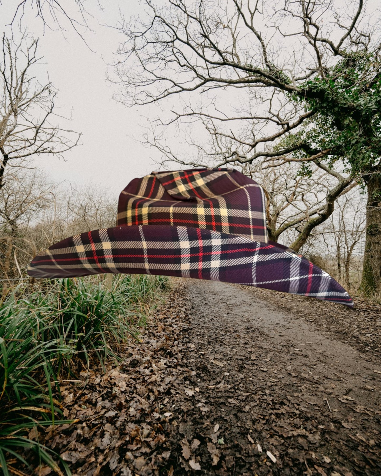 Oxblood Plaid - Zandria