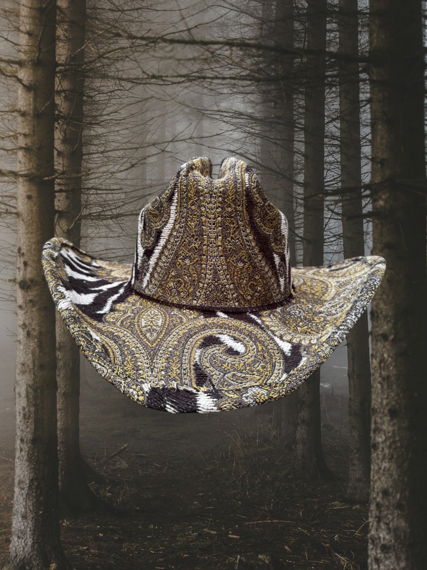 Paisley Pioneers - Zandria