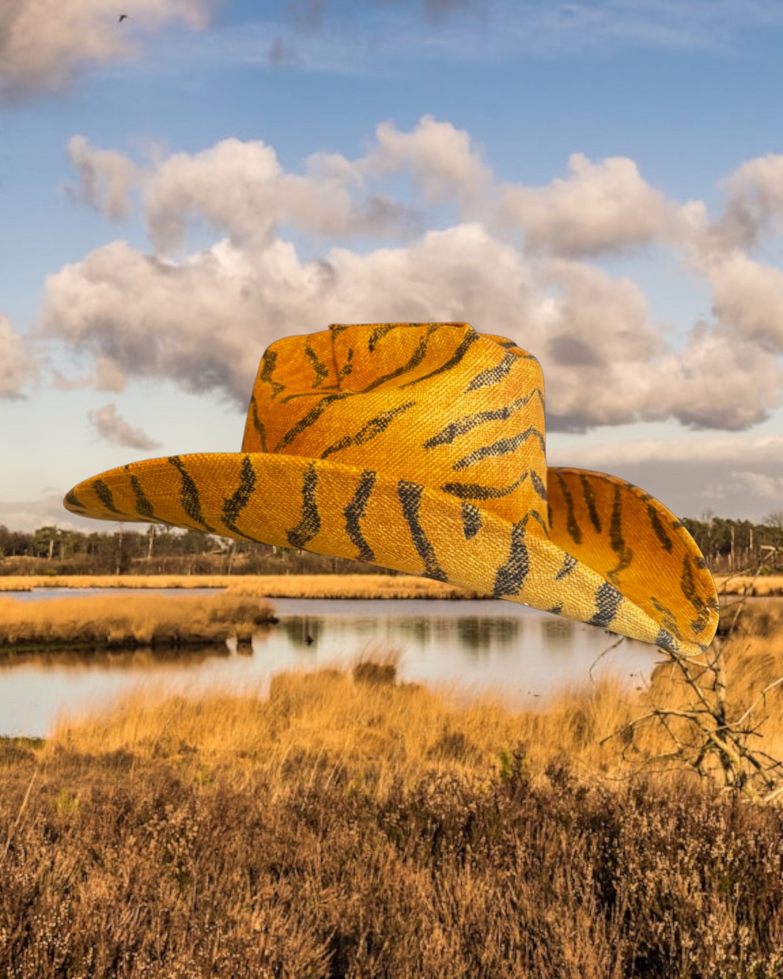 Savanna Sunrise - Zandria