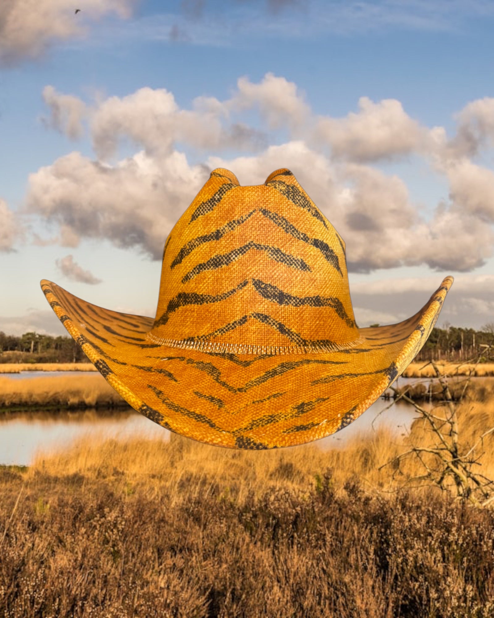 Savanna Sunrise - Zandria