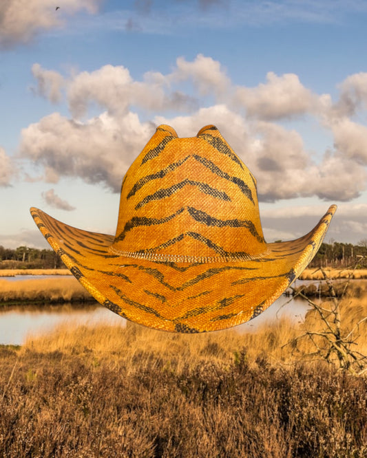 Savanna Sunrise - Zandria