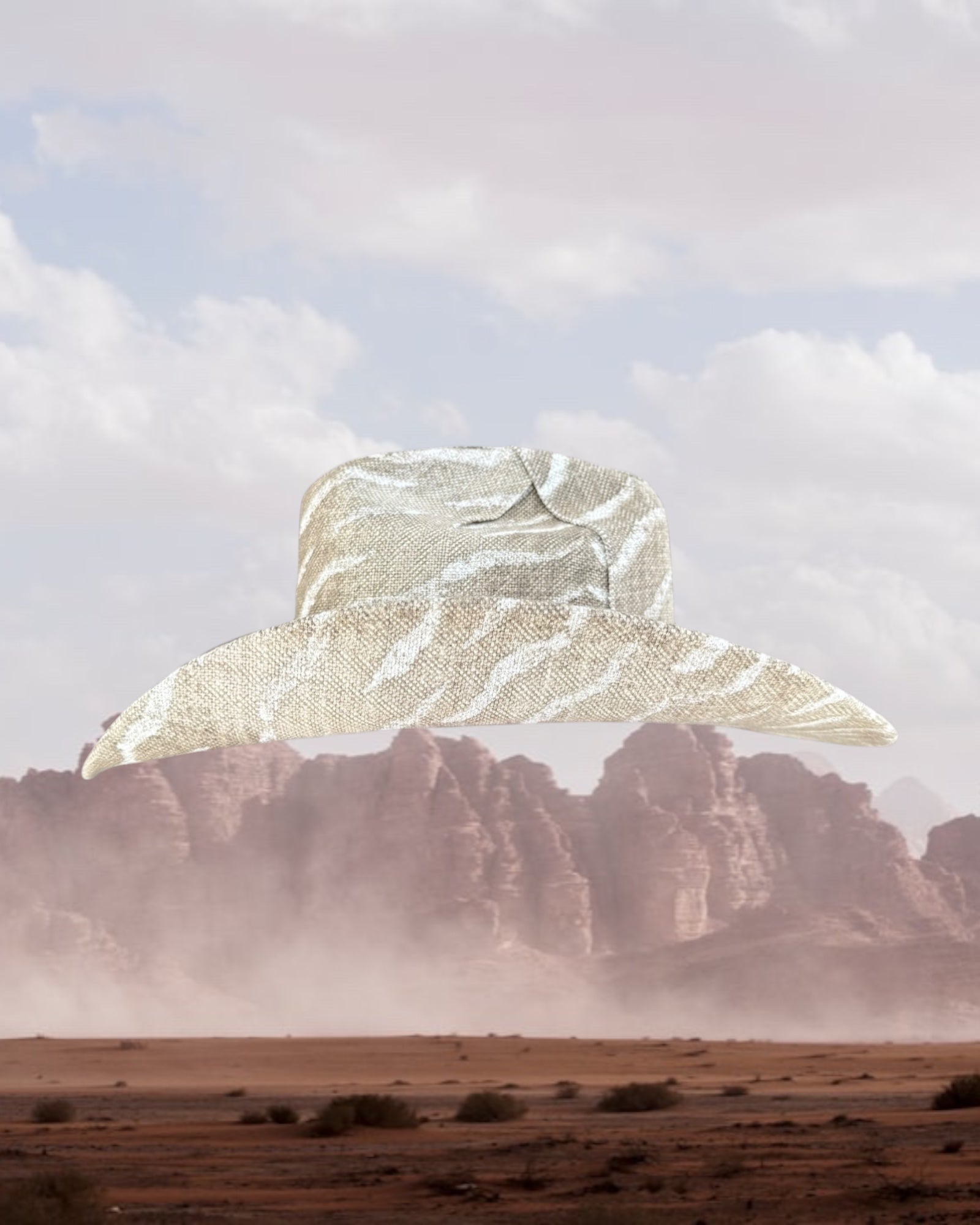 Stone Zebra