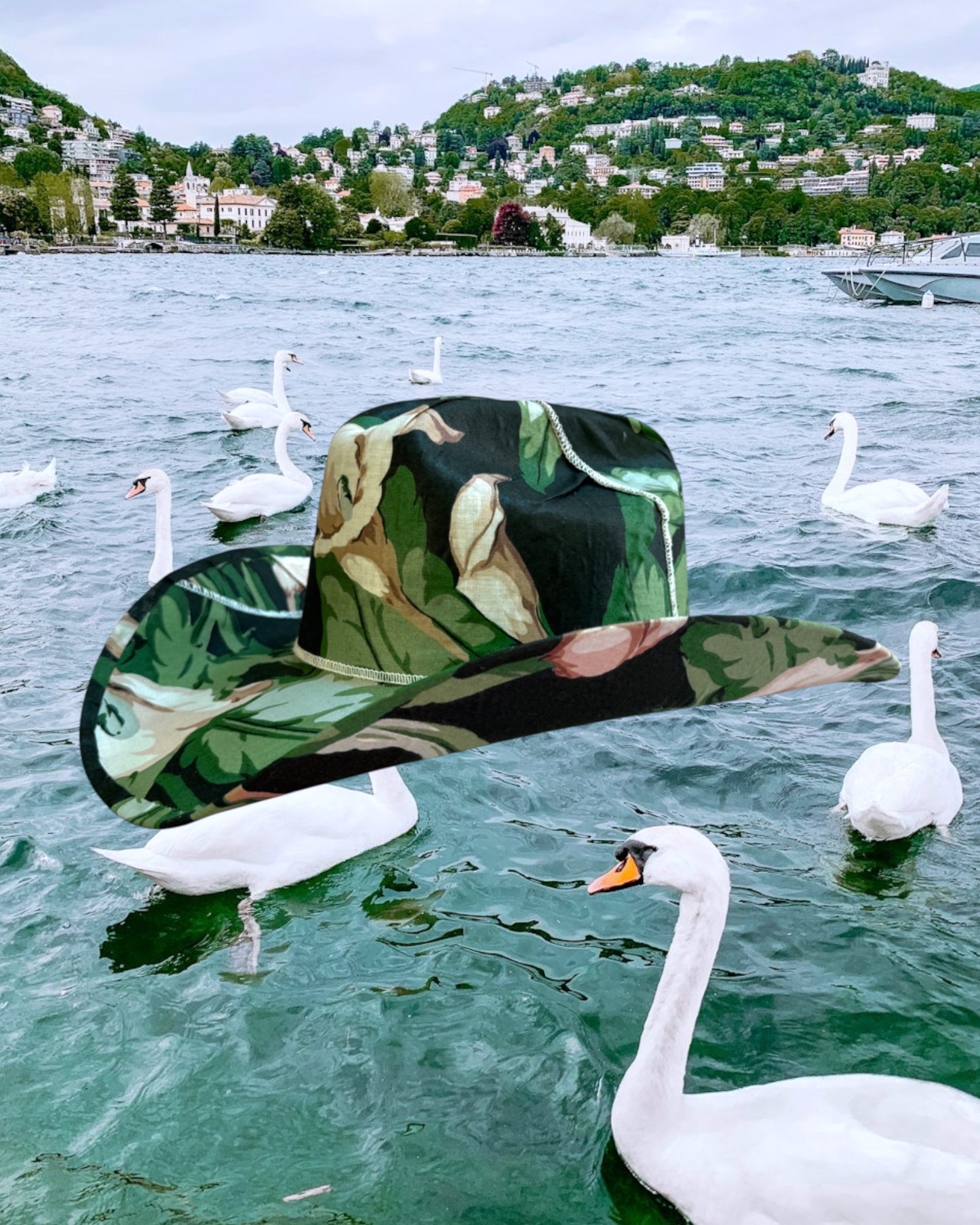 Swan Lake