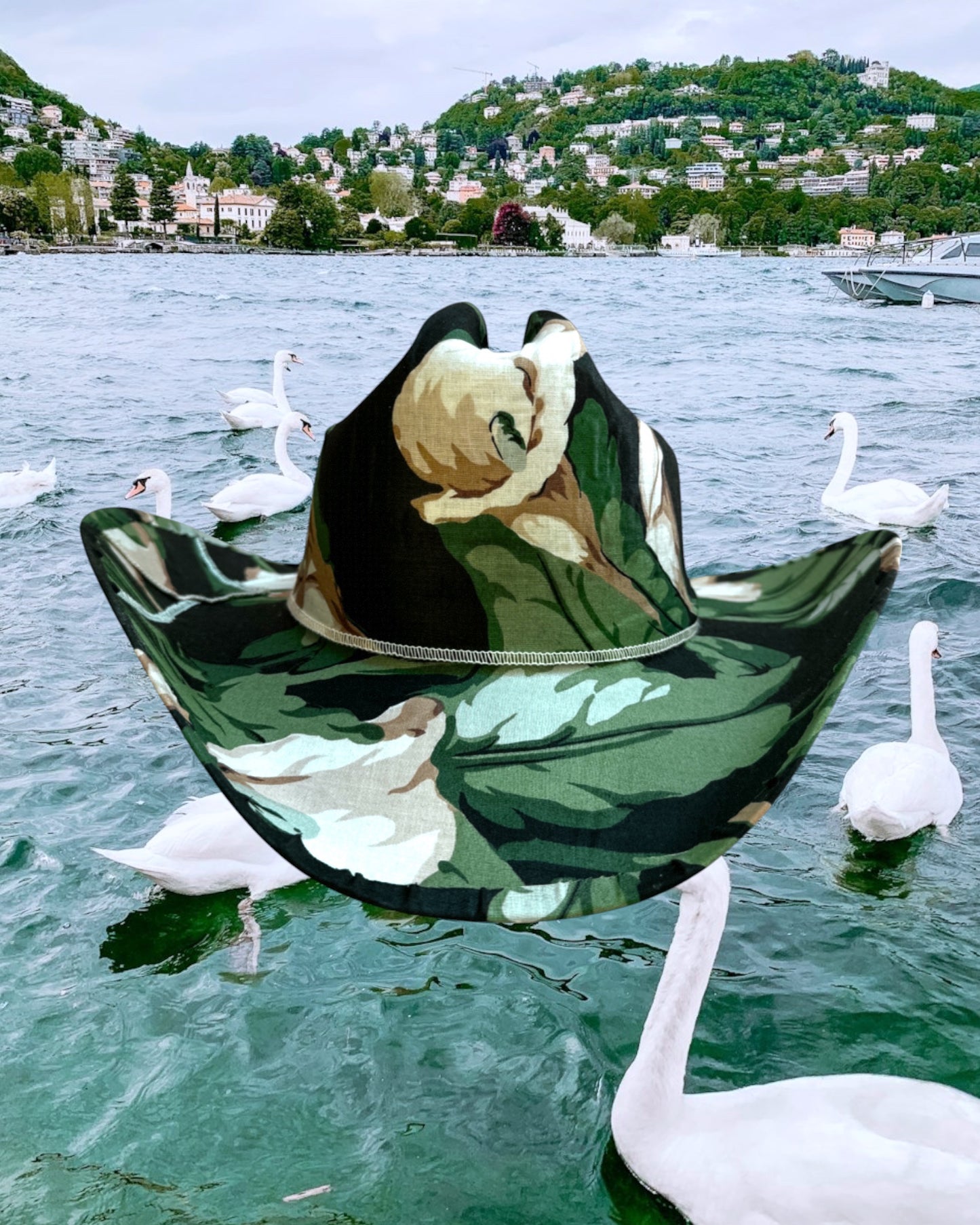 Swan Lake