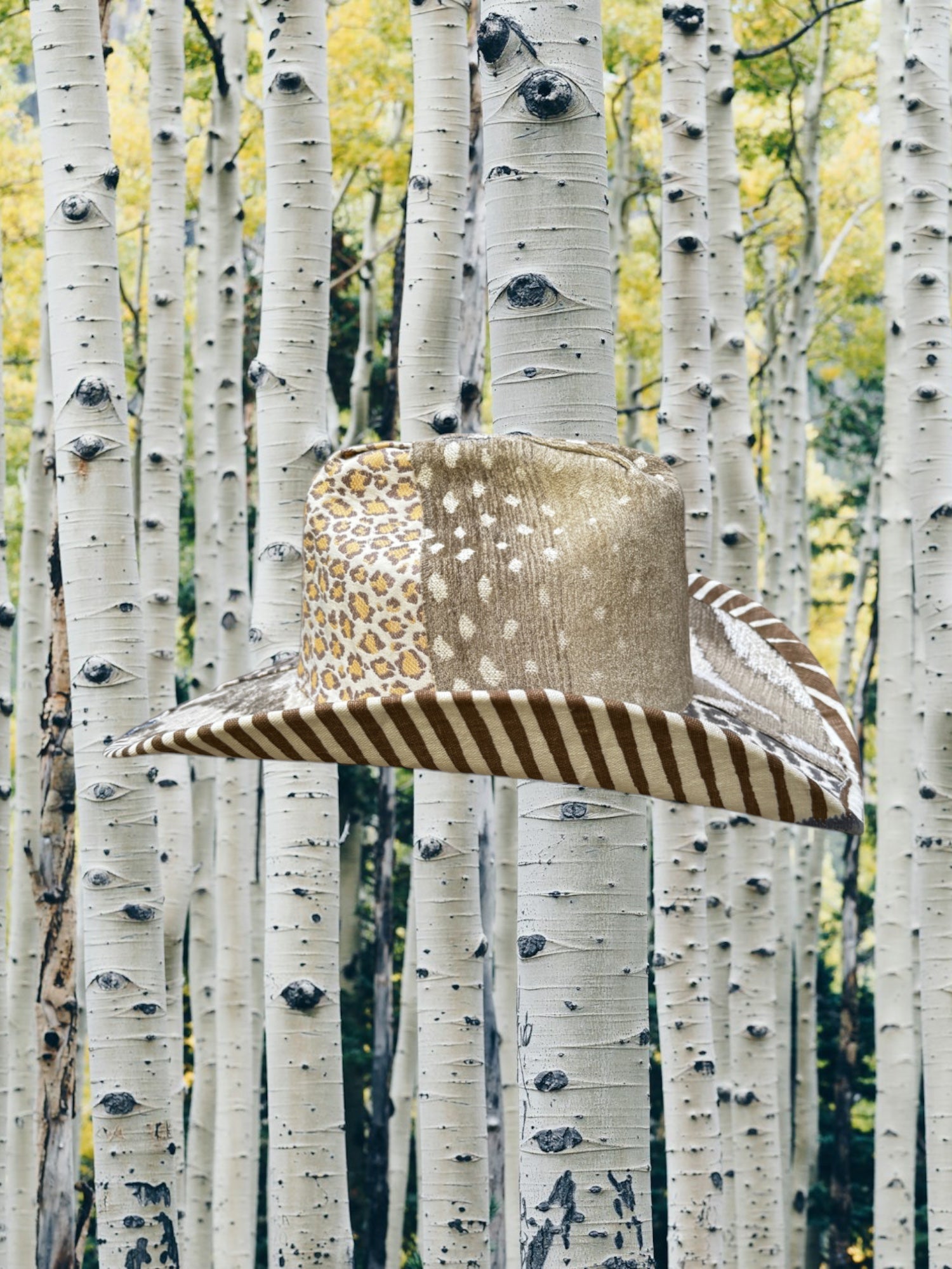 Topaz Trails - Zandria