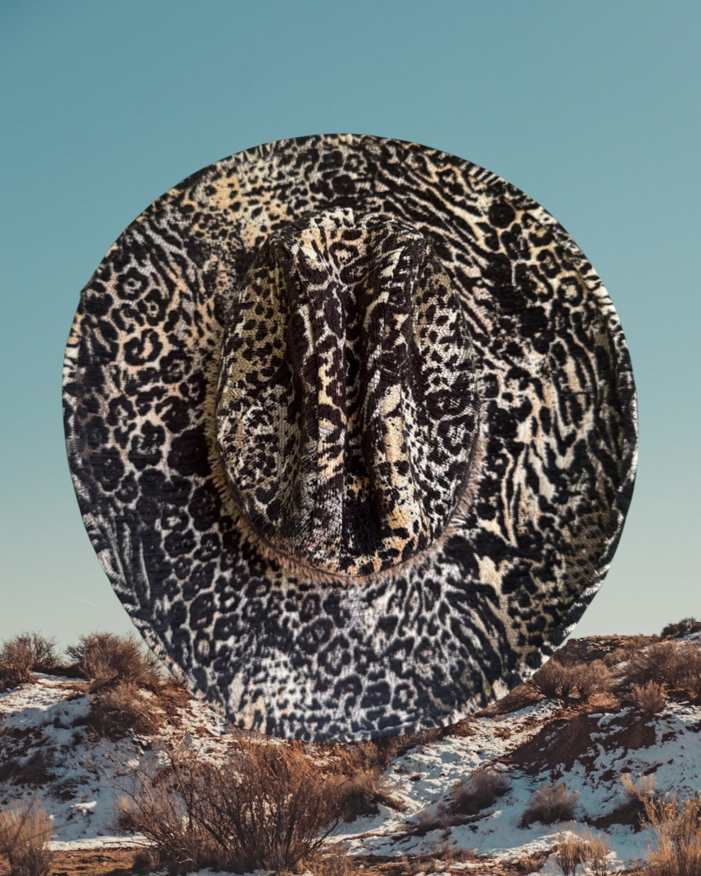 Tumblecat