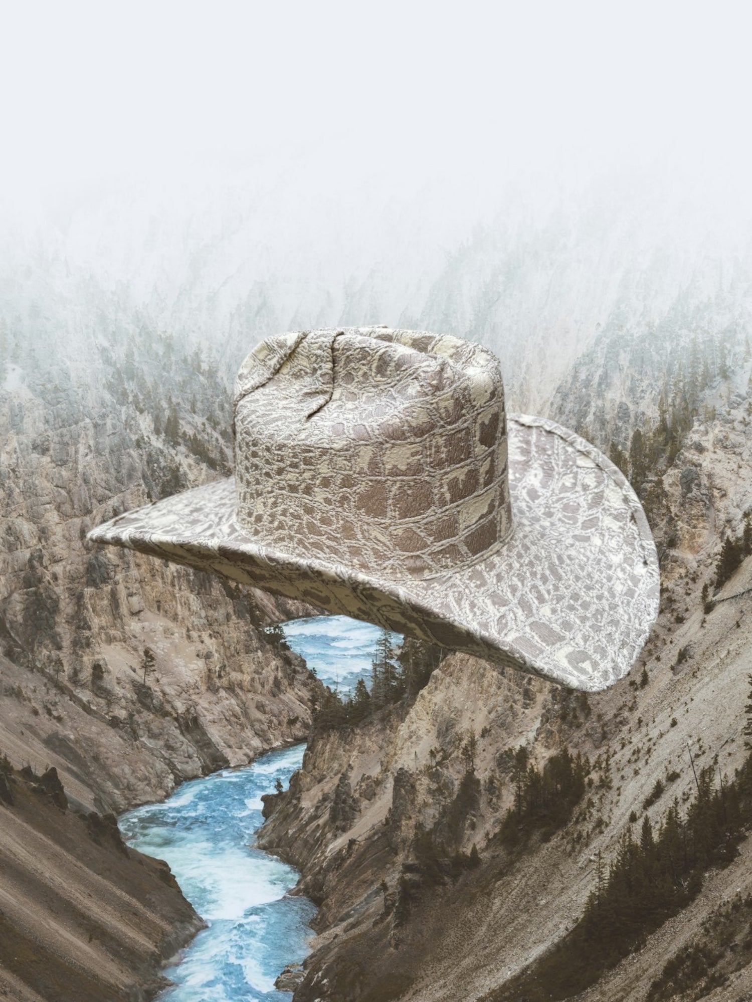 Viper's Veil - Zandria