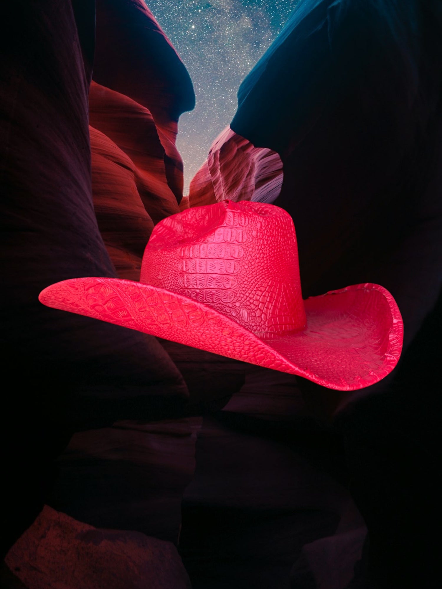 Wild Flame - Zandria