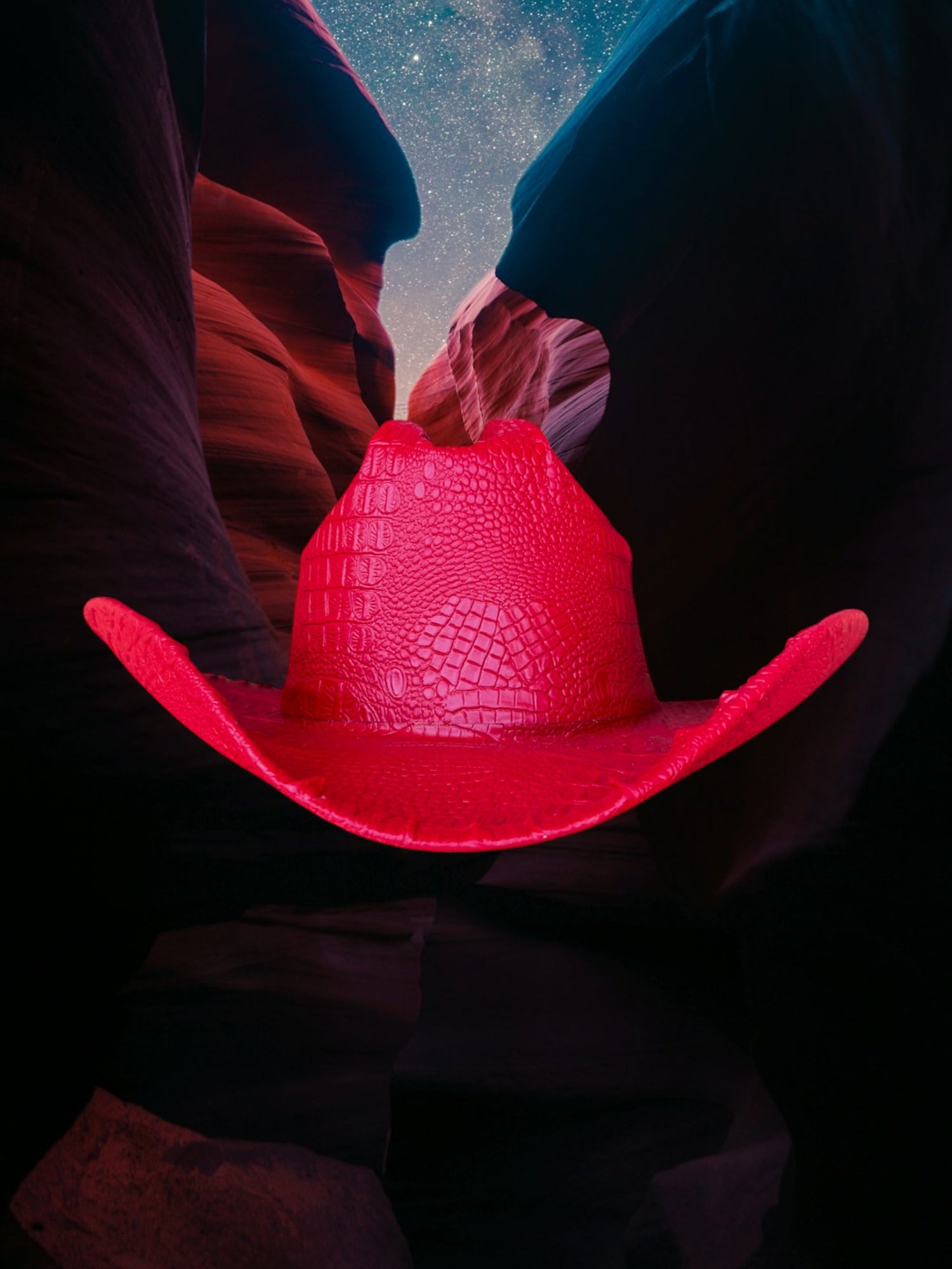 Wild Flame - Zandria