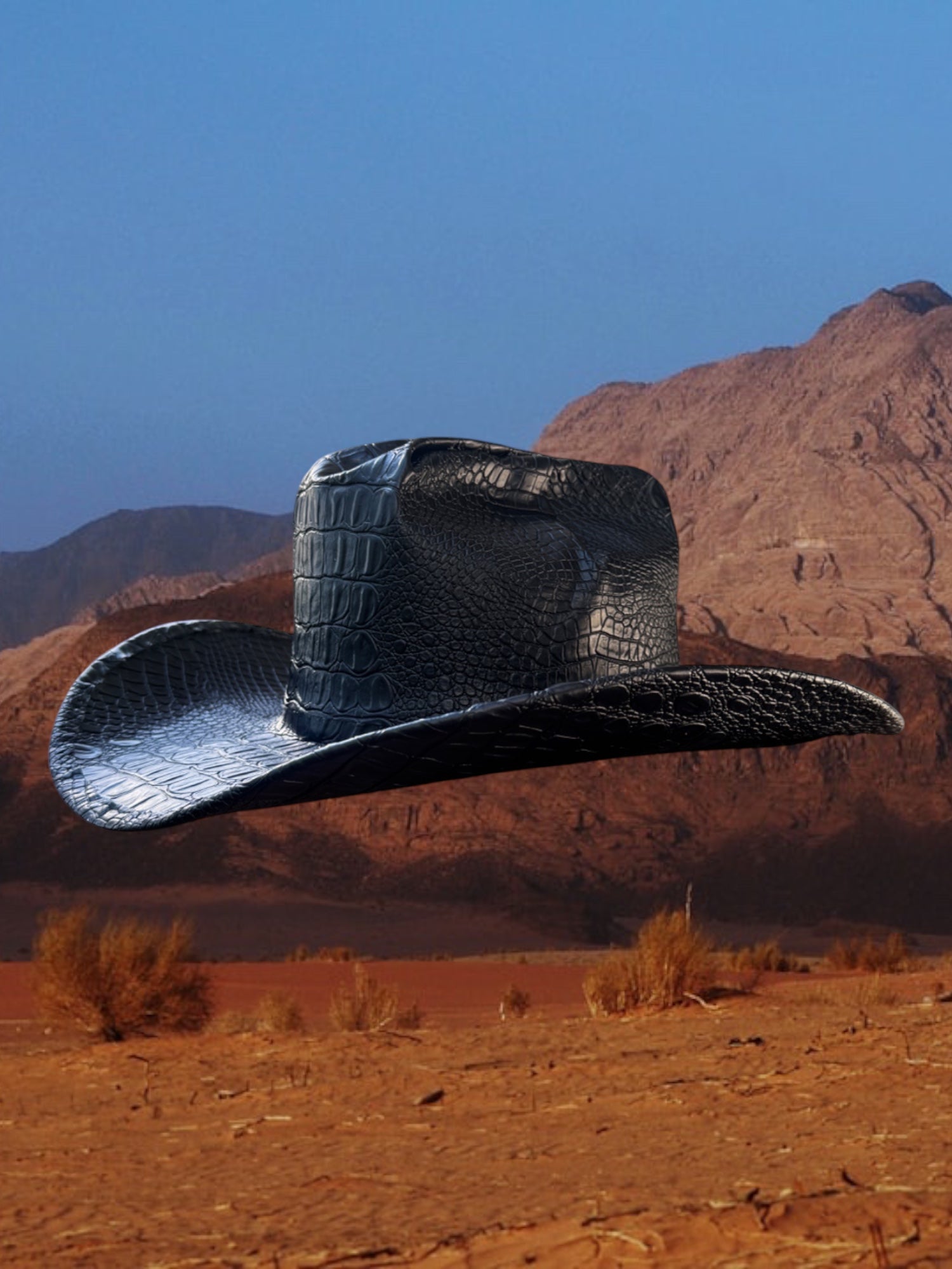 Wild Streak - Zandria