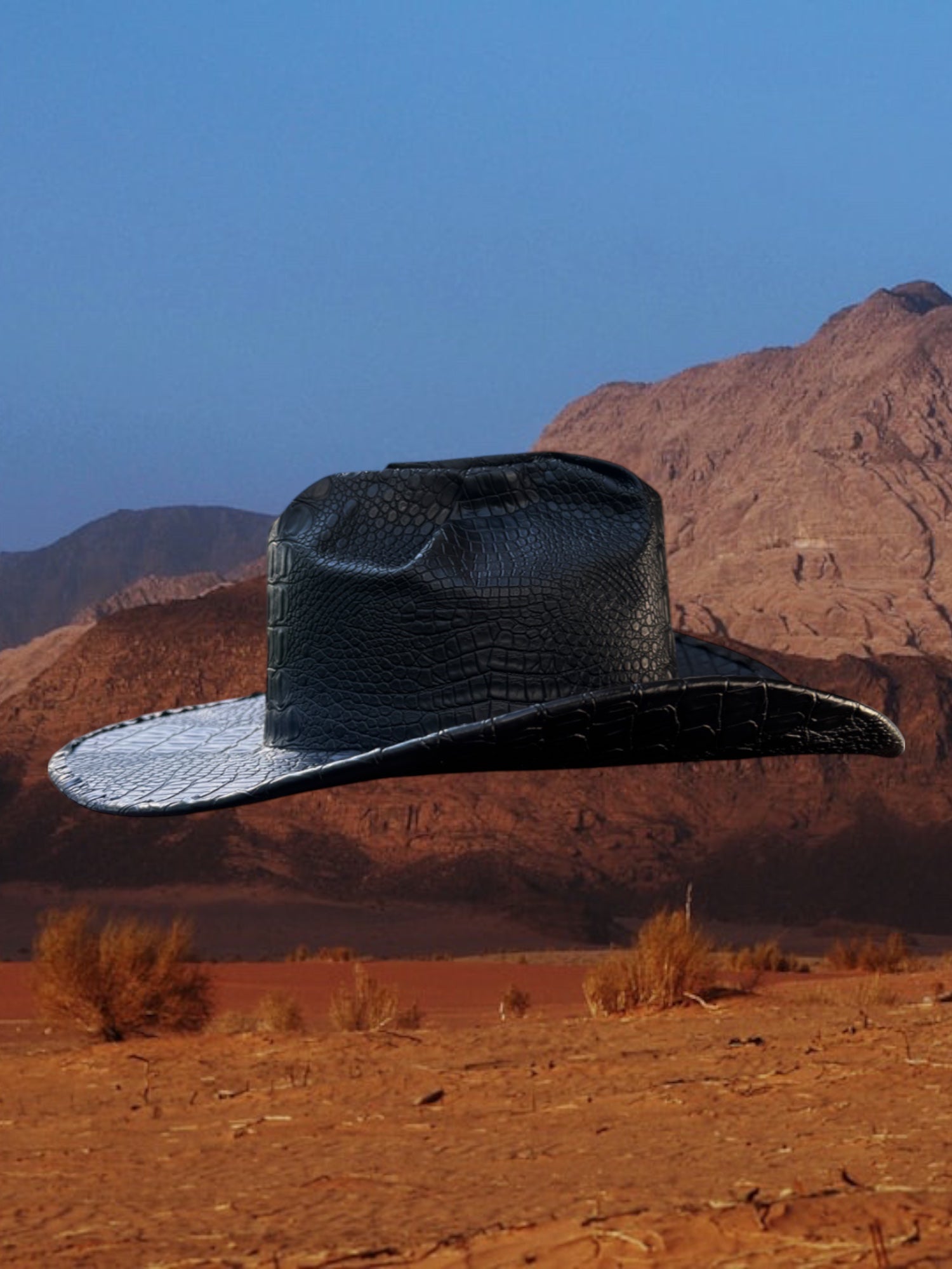 Wild Streak - Zandria