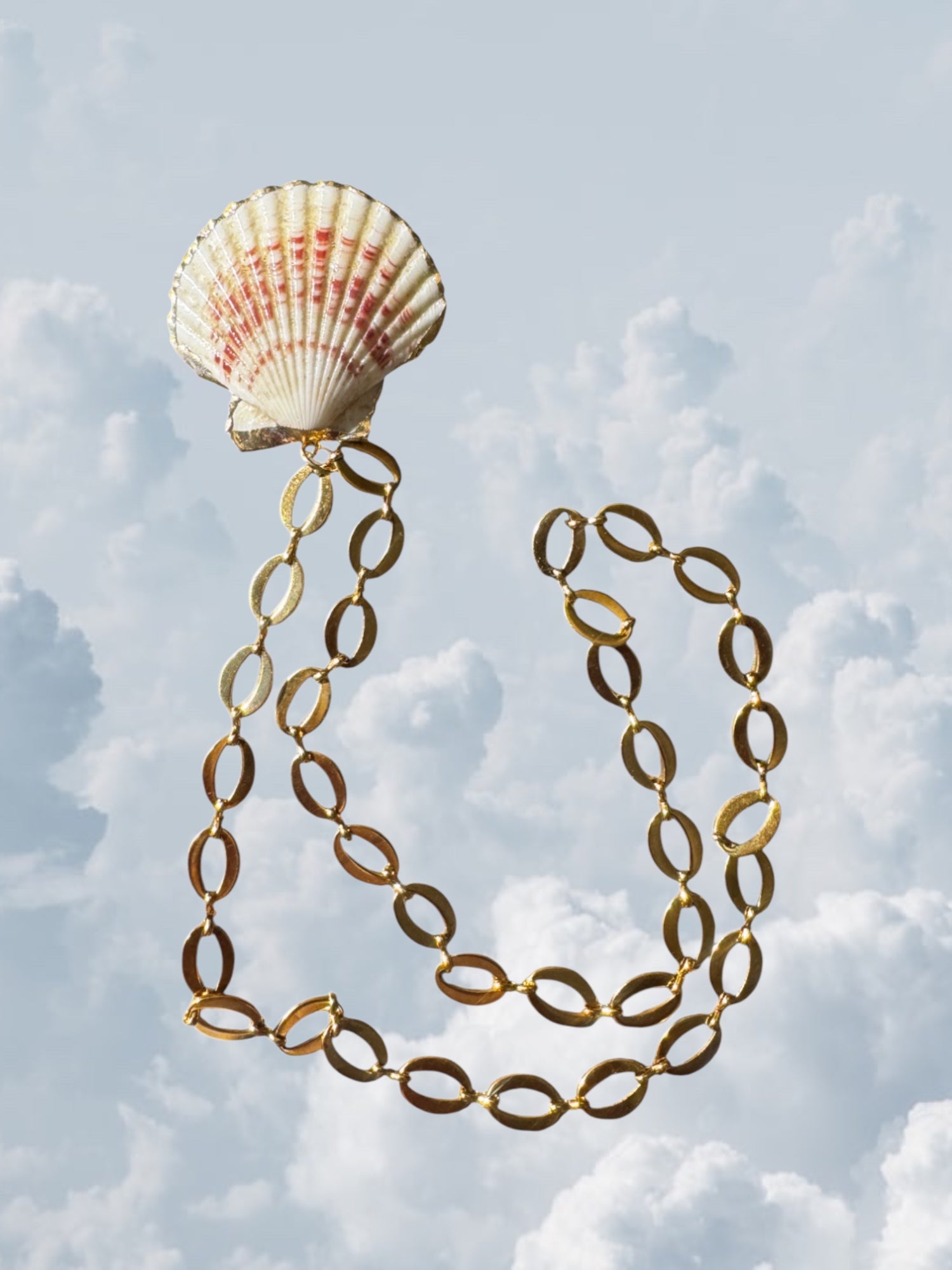 Scallop Shell Gold - Zandria