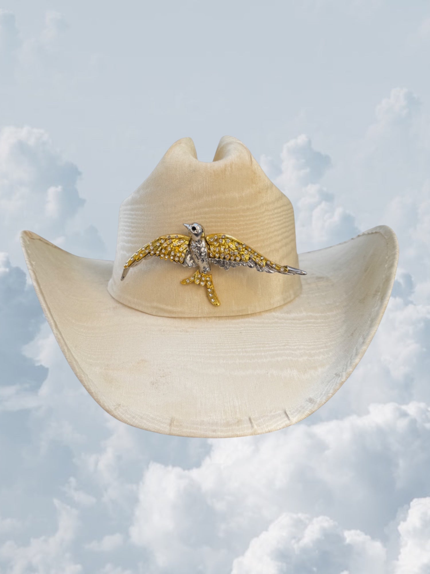 Sparrow in Flight - Zandria