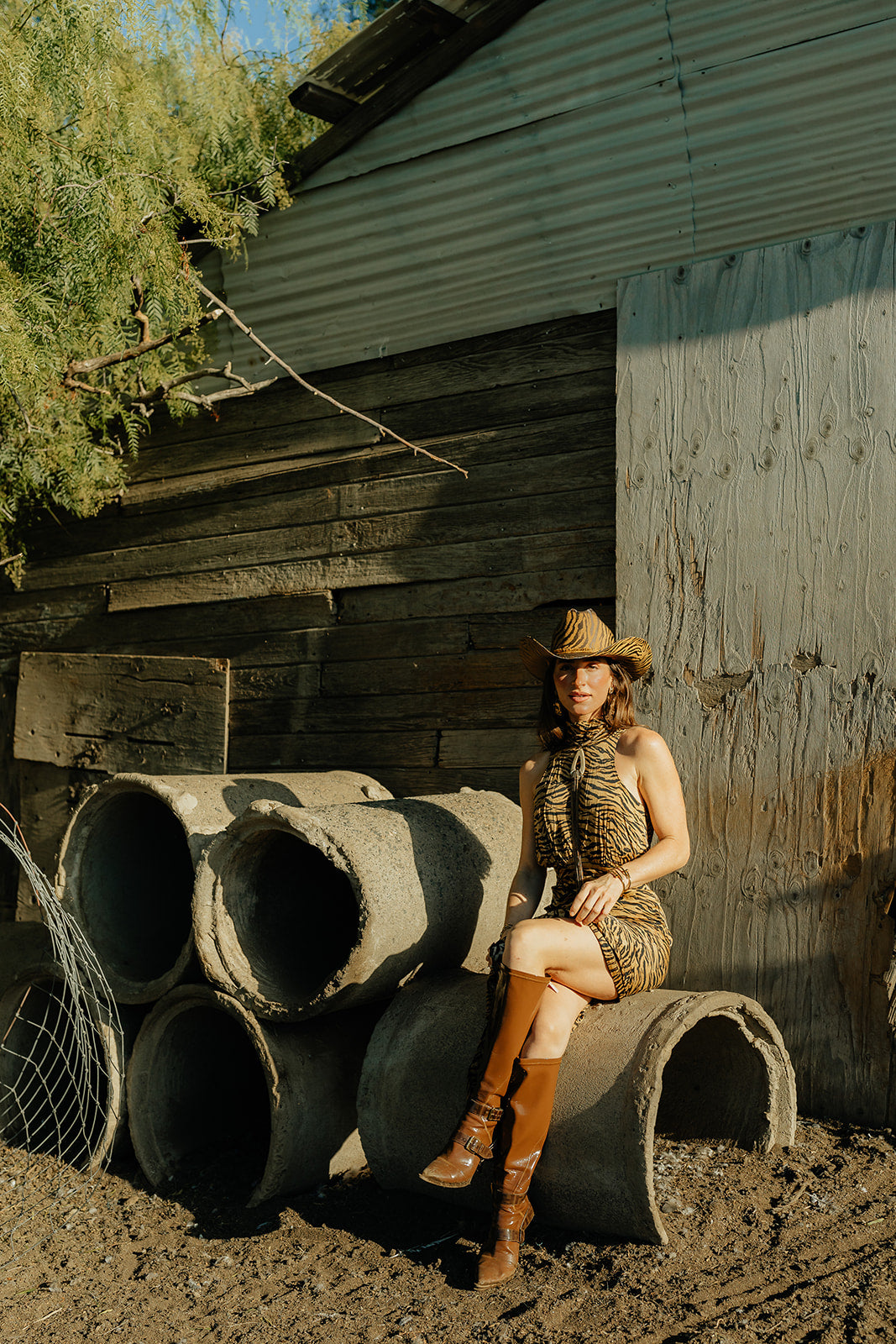 Dusk in the Delta - Zandria