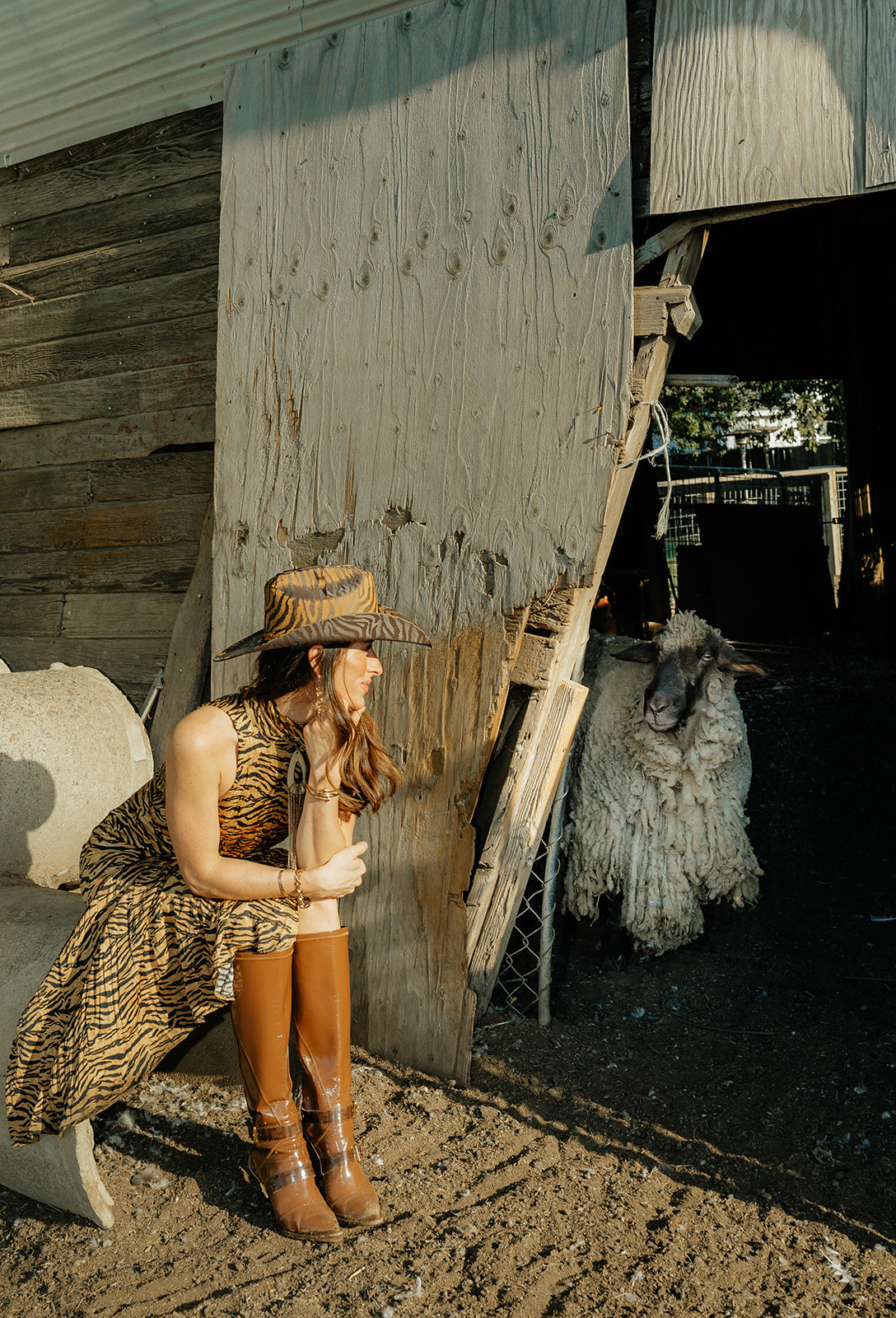 Dusk in the Delta - Zandria