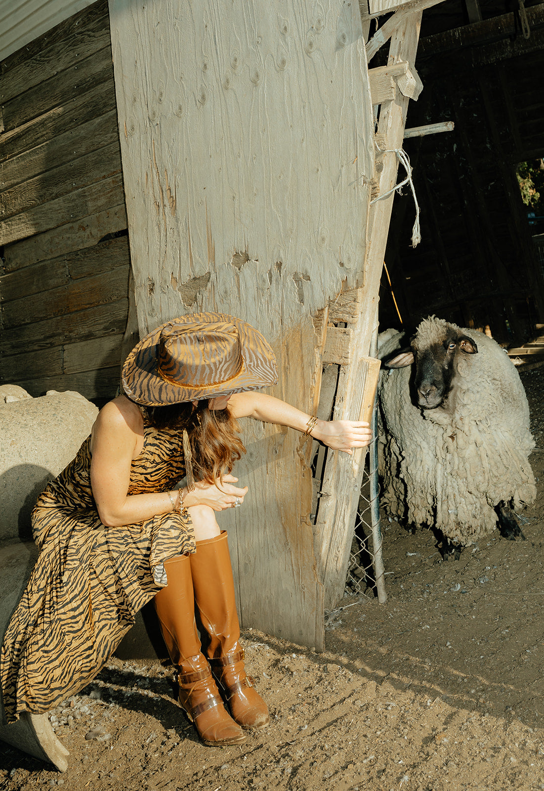 Dusk in the Delta - Zandria