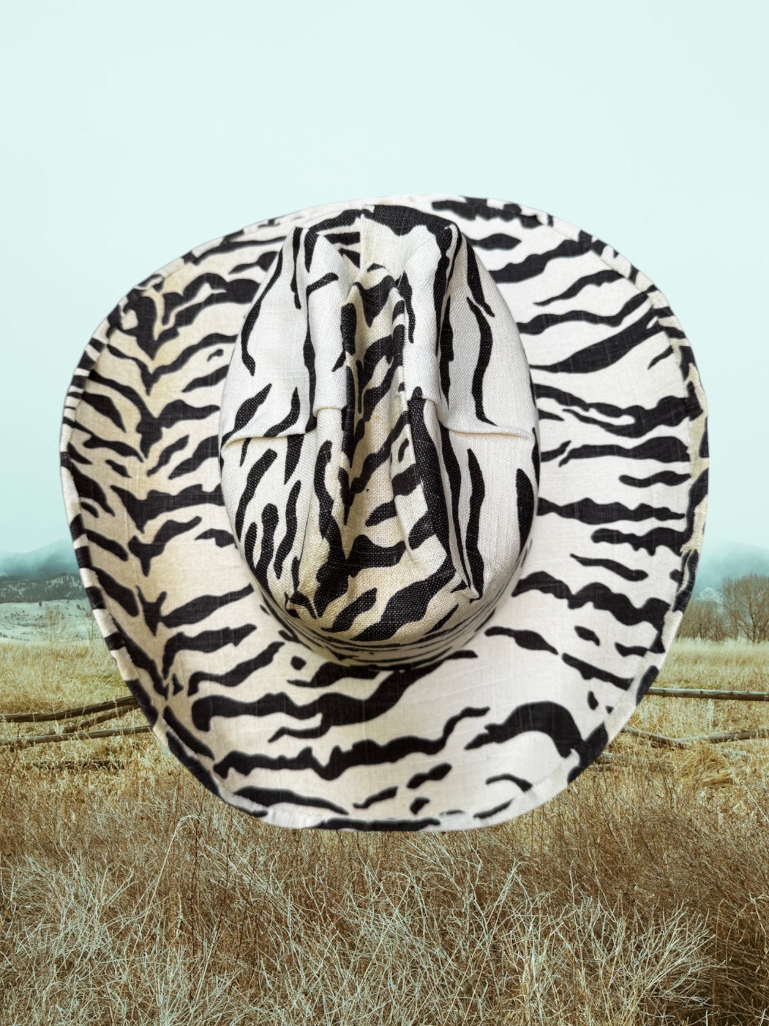 Zebra Zephyr - Zandria