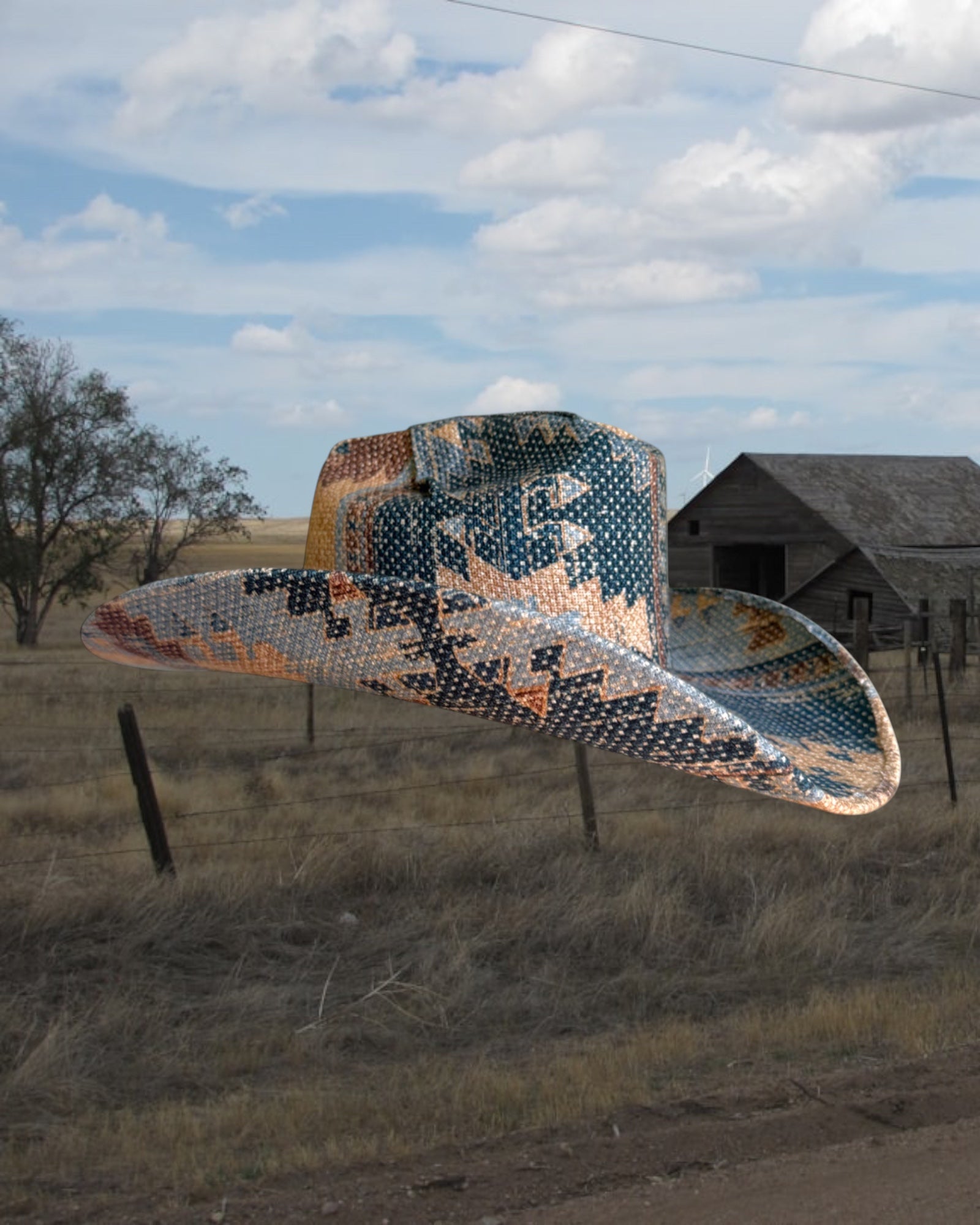 Coyote Blue - Zandria