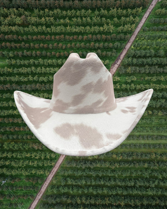 Dairy Cream - Zandria